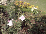 Szkolenie UM 08.2009