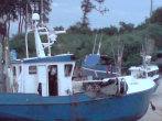 Szkolenie UM 08.2009